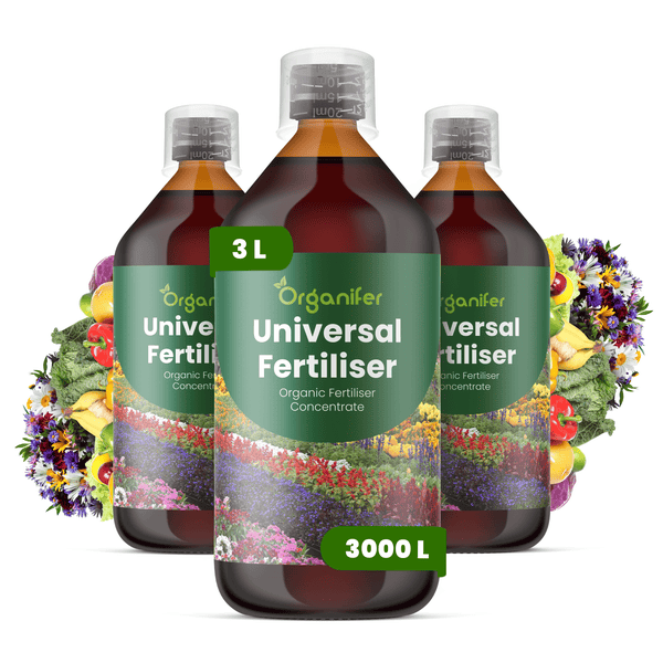 Drei Flaschen Organifer Universal Flüssigdünger Konzentrat, insgesamt 3 Liter für 3000 Liter Düngelösung, Bio-Dünger für Blumen und Gemüse.
