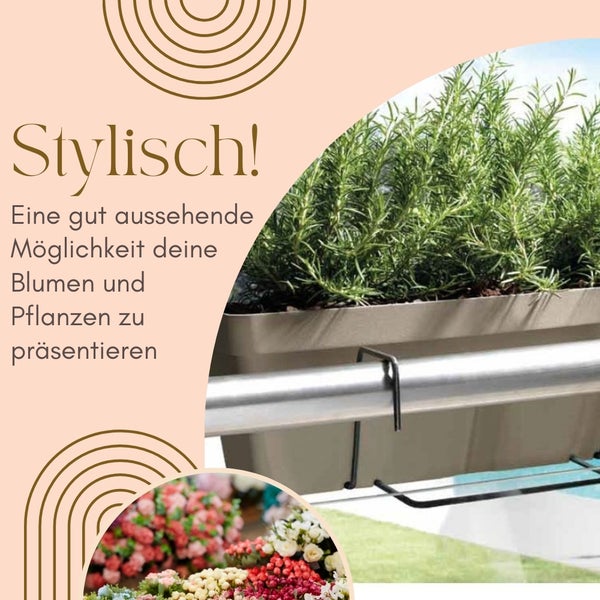 Balkonkasten mit Halterung zur Präsentation von Blumen und Pflanzen