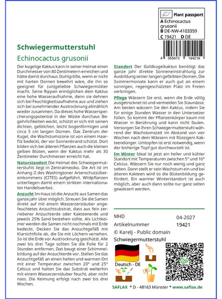 SAFLAX Garden to go - Schwiegermutterstuhl - Echinocactus grusonii - 40 Samen - Mit Topf, Klima - Deckel und Anzuchtsubstrat
