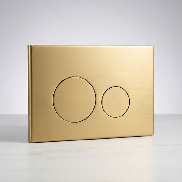 Toilettenspülplatte mit zwei Betätigungstasten