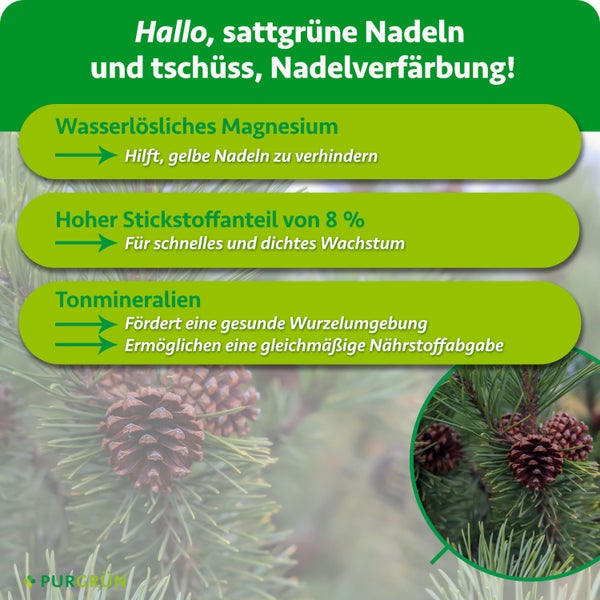 Infografik zum Koniferendünger mit Angaben zu wasserlöslichem Magnesium, Stickstoffanteil und Tonmineralien für grüne Nadeln bei Nadelgehölzen.