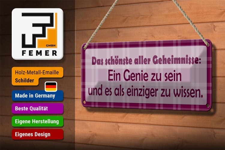 Blechschild Spruch 27x10cm Genie sein und es als einziger wissen