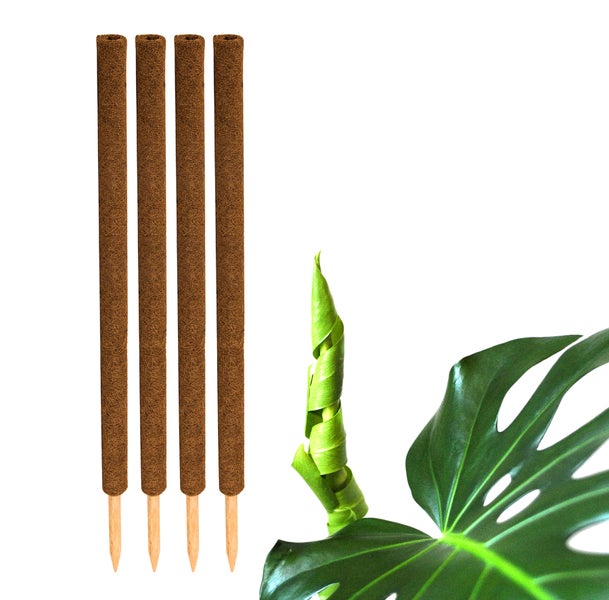 BigDean 4er Set Pflanzstäbe Kokos 110 cm - Monstera Rankhilfe Rankstäbe Stab Moosstäbe Pflanzenstäbe Kokosstäbe für Pflanzen - aus natürlicher Kokosfaser - verlängerbar