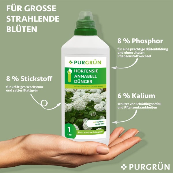 Purgrün Hortensie-Annabell-Dünger 1 Liter