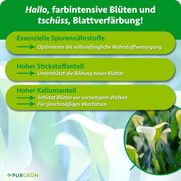 Produktgrafik Purgrün Pflanzendünger mit Informationen zu essenziellen Spurennährstoffen Stickstoff und Kalium für gesundes Pflanzenwachstum