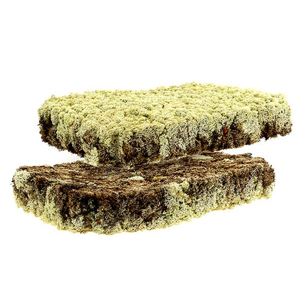 Zwei rechteckige Moosplatten gestapelt