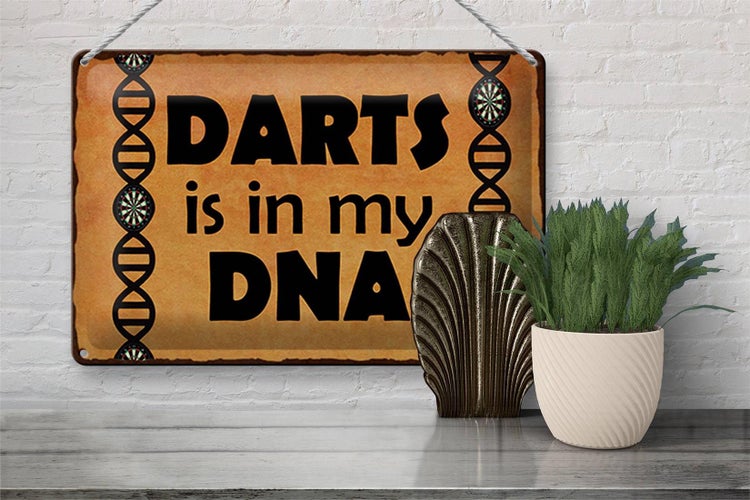 Blechschild Spruch 30x20cm Darts is in my DANN