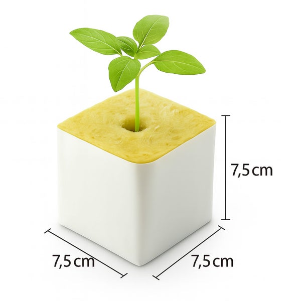 Steinwolle Würfel Anzucht 7,5x7,5 cm – Mit kleinem Loch, keimfrei, EC 7,0, ideal für Erde, Kokos & Hydroponik