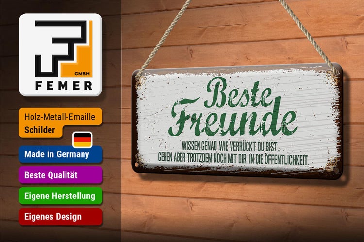 Blechschild Spruch Beste Freunde verrückt wissen genau 27x10cm