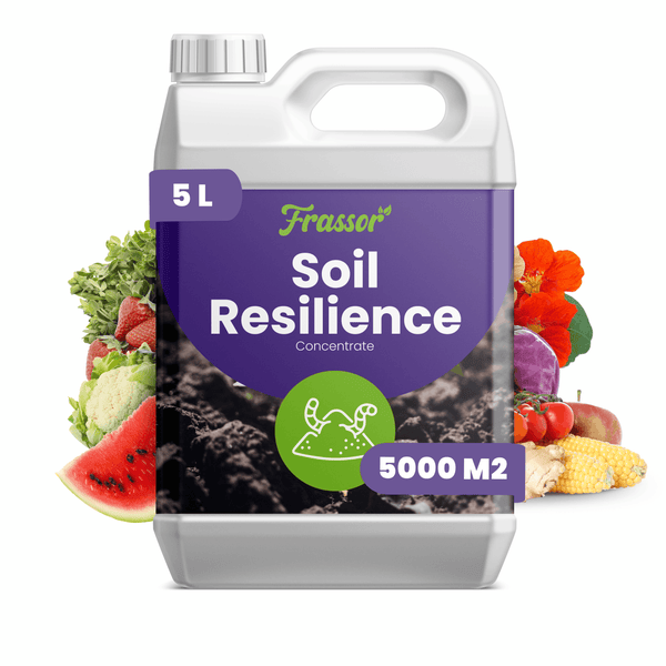 Frassor Soil Resilience Bodenhilfsstoff Konzentrat 5 Liter Kanister zur Bodenverbesserung für bis zu 5000 Quadratmeter Fläche.