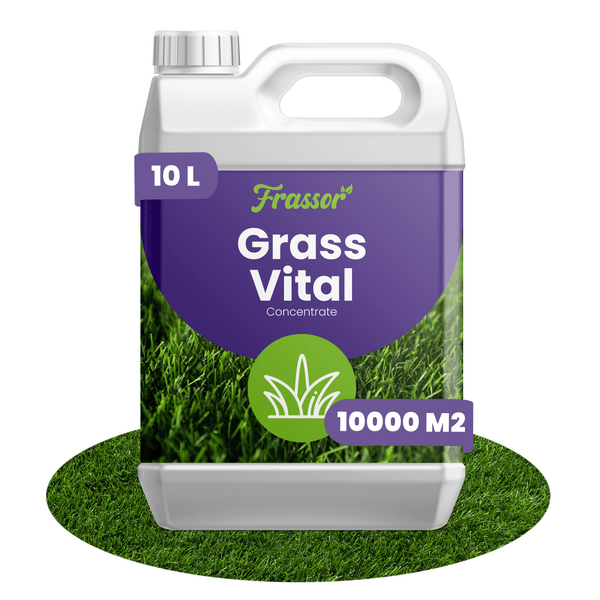 Frassor Grass Vital Konzentrat 10 Liter Kanister für 10000 Quadratmeter Rasenfläche