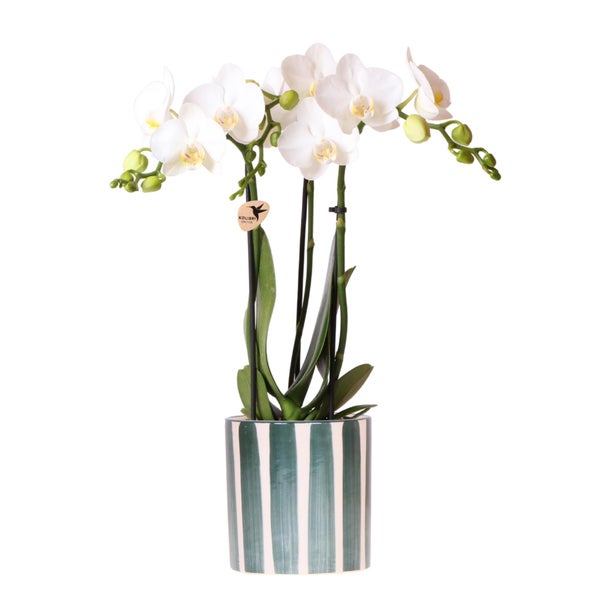 Wandleuchte mit Glaskugel und schwarzem Metallrahmen