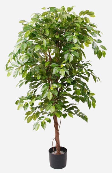 Detailansicht einer künstlichen Ficus-Pflanze mit dichten grünen Blättern und braunen Zweigen.