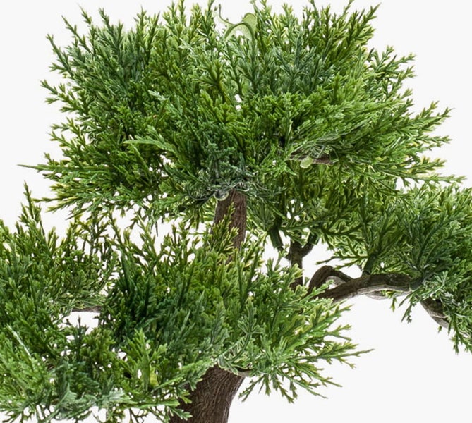 Künstliche grüne Bonsai Zypresse mit detailreichen Nadeln und braunem Stamm