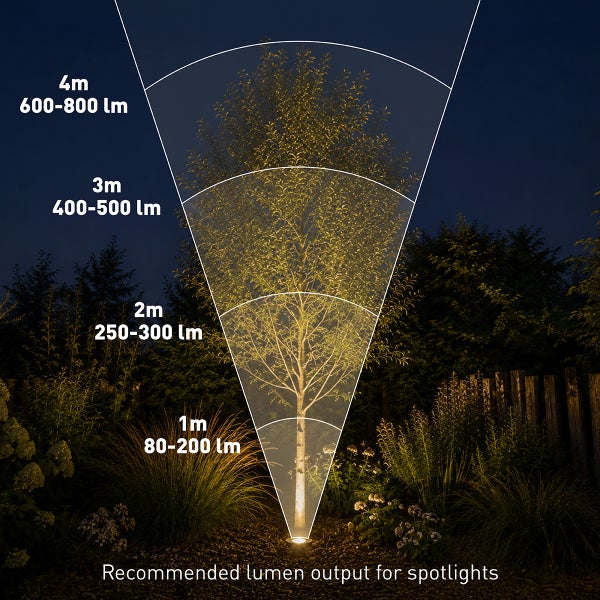 Grafik zur empfohlenen Lichtleistung in Lumen für Gartenstrahler basierend auf der Höhe der zu beleuchtenden Bäume.