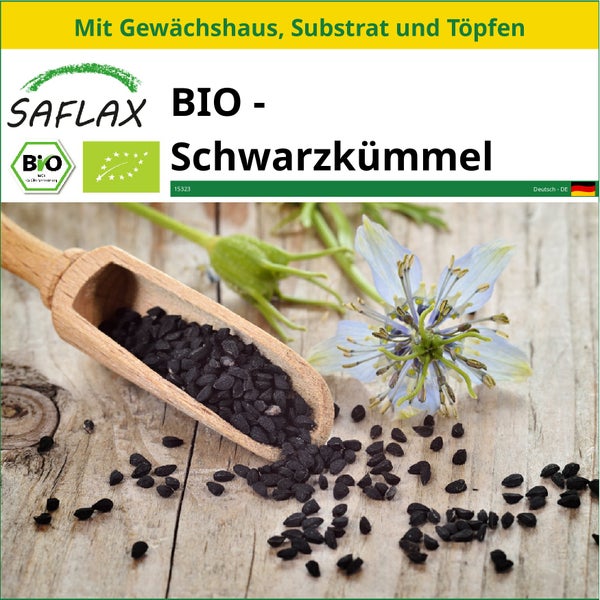 SAFLAX Anzucht Set - BIO - Schwarzkümmel - Nigella sativa - 300 Samen - Mit Mini-Gewächshaus, Anzuchtsubstrat und 2 Töpfen