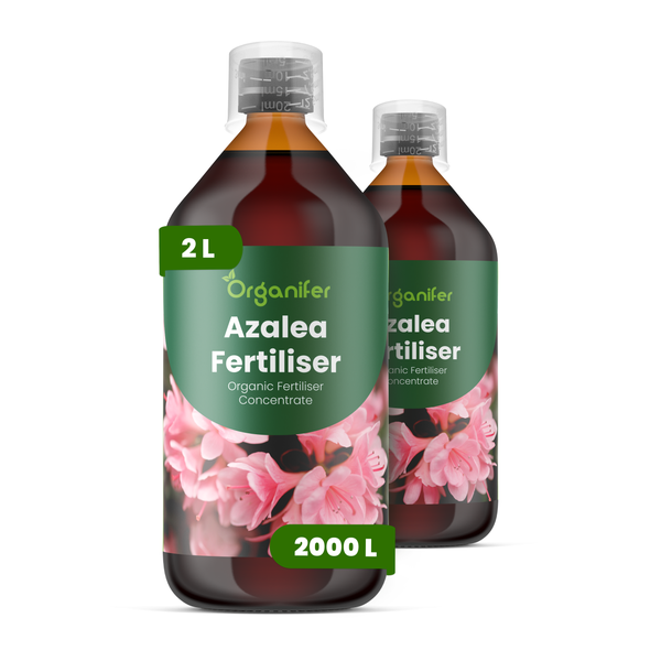 Organifer Azaleendünger Bio-Flüssigdünger Konzentrat 2 Liter für circa 2000 Liter Gießwasser.