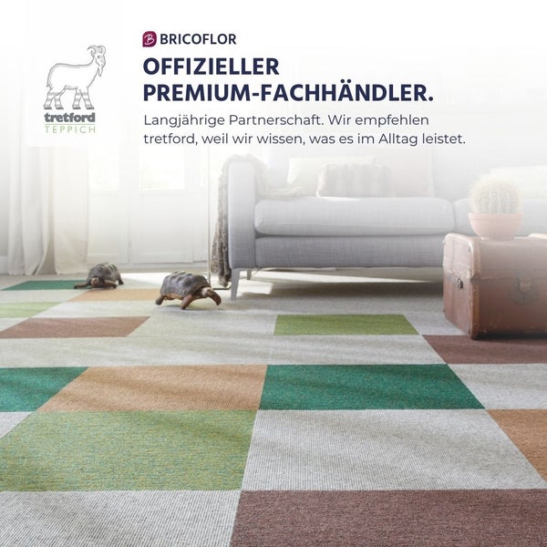 Tretford Teppichfliesen im Wohnzimmer mit Sofa und Schildkröten. Tretford Teppich Logo, Bricoflor Logo. Offizieller Premium-Fachhändler.