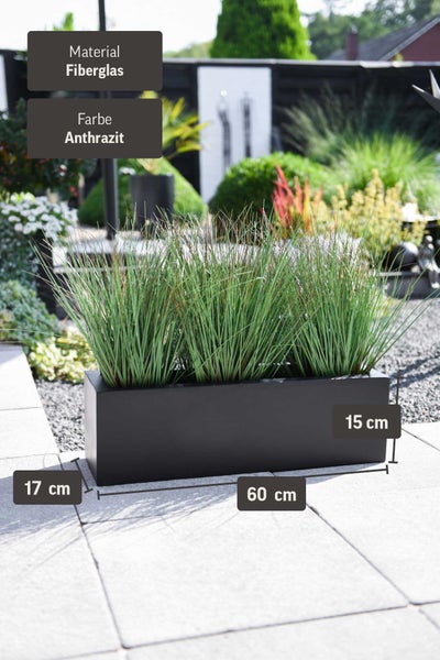 Pflanzkasten aus Fiberglas in Anthrazit, 60 mal 17 mal 15 Zentimeter, mit Ziergras auf einer hellen Steinterrasse in einem organisierten Garten.