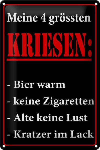 Blechschild Spruch 20x30cm Meine 4 grössten Kriesen