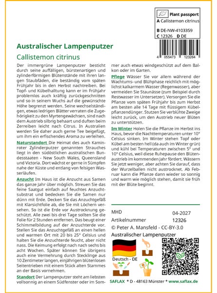SAFLAX Garden to go - Australischer Lampenputzer - Callistemon citrinus - 400 Samen - Mit Topf, Klima - Deckel und Anzuchtsubstrat