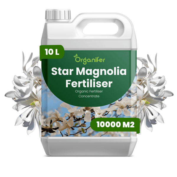 Organifer Sternmagnolien-Dünger, organisches Düngerkonzentrat, 10 Liter für 10000 Quadratmeter.