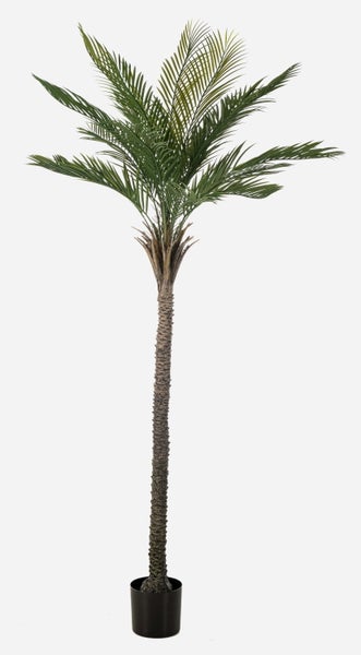 Künstliche Palme mit grünen Palmwedeln in der Detailansicht.