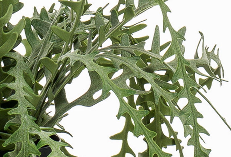 Künstliche Pflanze mit grünen, gezackten Blättern.