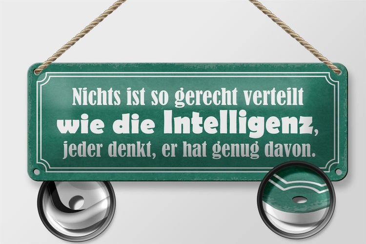 Blechschild Spruch 27x10cm Intelligent gerecht verteilt Dekoration