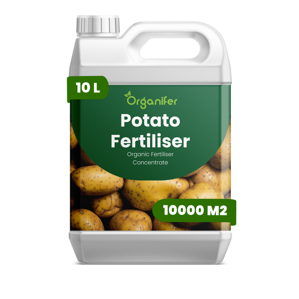 Organifer Kartoffeldünger Konzentrat 10 Liter für 10000 Quadratmeter in weißem Kunststoffkanister.