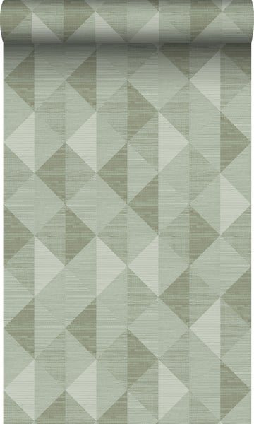 Origin Wallcoverings Tapete 3D Grasmuster Hell Graugrün - 50 x 900 cm - 347883