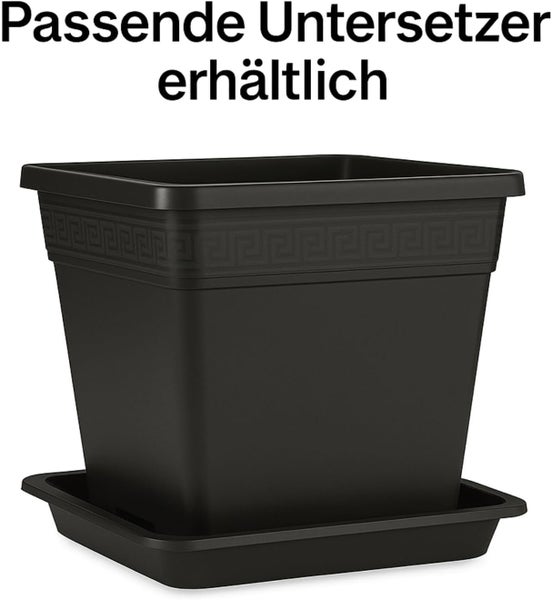 Quadratischer Pflanztopf mit Mäandermuster und passendem Untersetzer.
