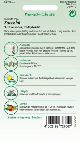 Zucchinisamen der Sorte Ambassador F1-Hybride im Saatgutbeutel