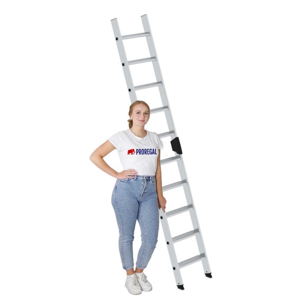 PROREGAL Stufen-Anlegeleiter Ohne Traverse 10 Stufen