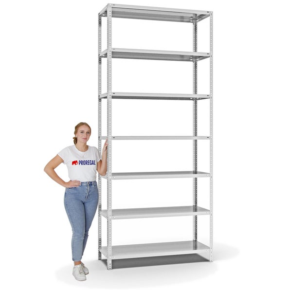 PROREGAL Fachbodenregal Schraubsystem Heavy-Duty Grundregal HxBxT 300 x 130 x 50 cm 7 Ebenen Fachlast 350 kg Beidseitig Nutzbar Lichtgrau
