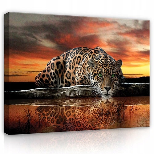 Leinwandbild Tiger Tiere Modern Bilder Wohnzimmer 120X80 cm