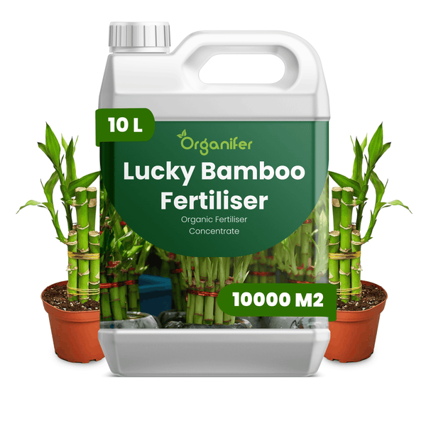 10 Liter Organifer Lucky Bamboo Dünger Kanister, organisches Düngerkonzentrat für 10000 Quadratmeter, Organifer Logo.