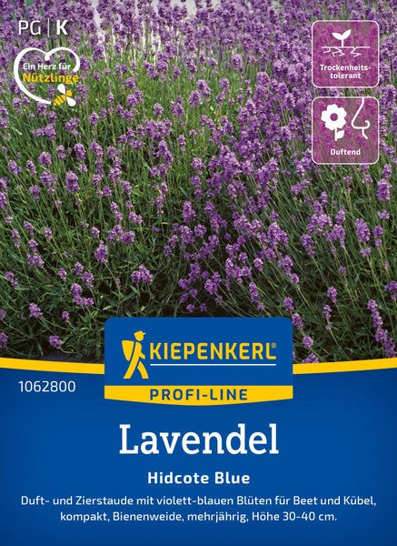 Kiepenkerl Profi Line Lavendel Hidcote Blue Samen mit Informationen zu Wuchshöhe, Duft, Trockenheitstoleranz und Bienenfreundlichkeit.