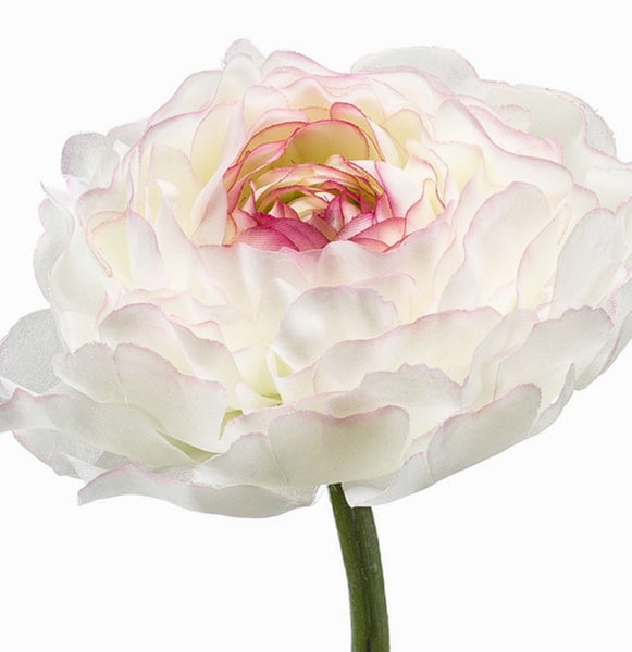 Künstliche Ranunkel mit weißen und rosa Blütenblättern am grünen Stiel.