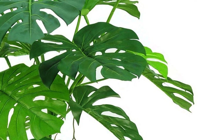 Künstliche Pflanze Monstera auf Stiel 145 cm