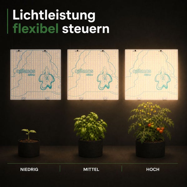 Cosmos 480W LED-Pflanzenlampe mit einstellbarer Lichtintensität für verschiedene Wachstumsphasen: Keimling, Wachstum und Fruchtbildung.