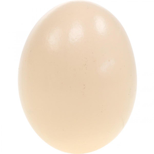 Straußenei zur Dekoration