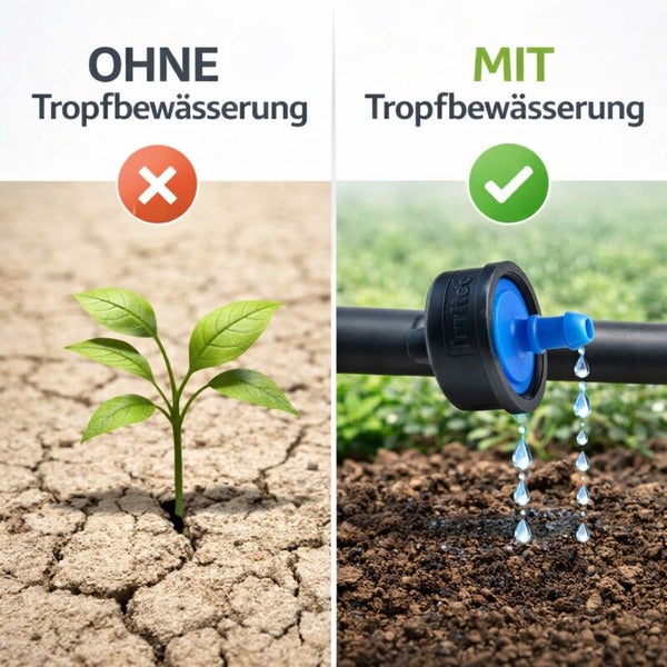 Vergleich von trockener Erde ohne Tropfbewässerung und feuchter Erde mit einem tropfenden Bewässerungssystem.