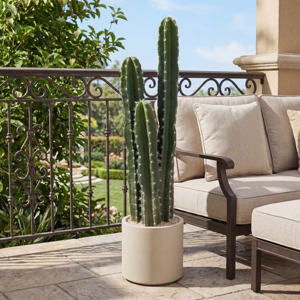 Hoher Kaktus in einem runden Topf auf einer Steinterrasse neben einem Lounge-Sofa und einem verzierten Metallgeländer.