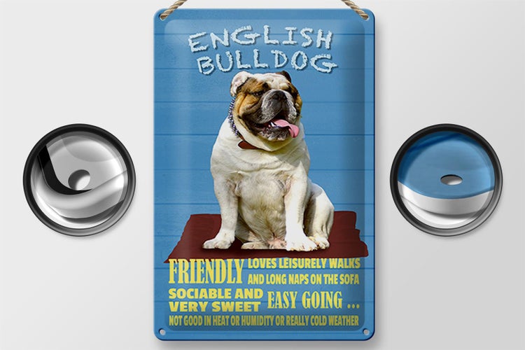 Blechschild Spruch 20x30cm English Bulldog Hund friendly