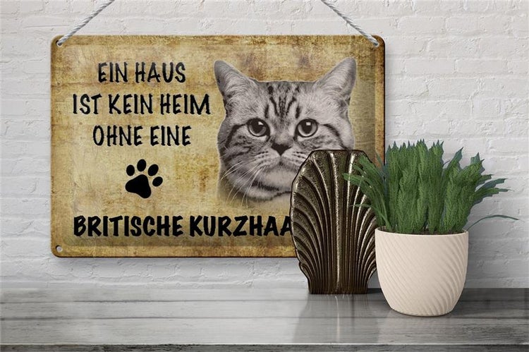 Blechschild Spruch 30x20cm Britische Kurzhaar ohne kein Heim