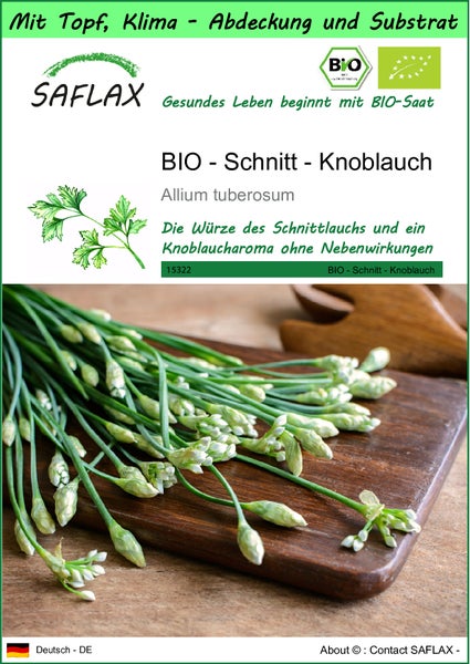 SAFLAX Garden to go - BIO - Schnitt - Knoblauch - Allium tuberosum - 100 Samen - Mit Topf, Klima - Deckel und Anzuchtsubstrat