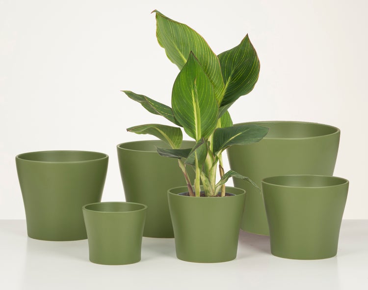 Scheurich Blumentopf aus Keramik,  Farbe: Oliva, 21 cm Durchmesser, 19 cm hoch, 4,2 l Vol.
