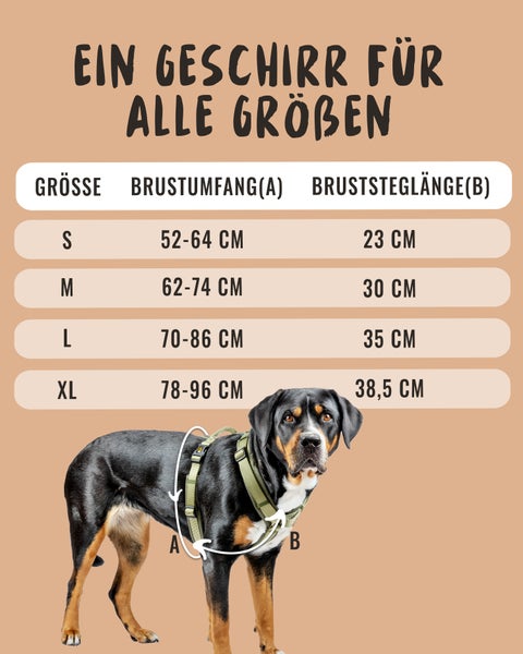 Größentabelle für ein Hundegeschirr mit Angaben zu Brustumfang und Bruststeglänge