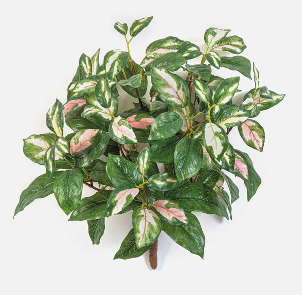 Detailansicht der grünen Blätter einer künstlichen Geigenfeige Ficus lyrata.